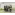image_1