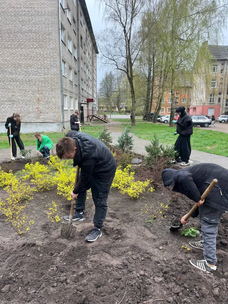 Студенты групп 1 РС и 1 ТПм дружно вышли на субботник